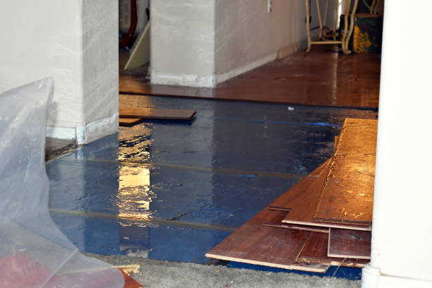 Professional Storm Water Damage Restoration technician working in Abrams, WI
